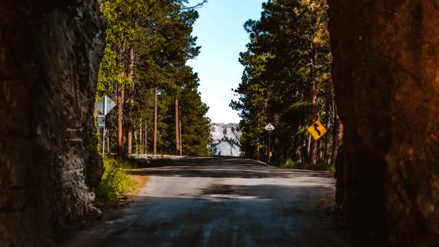 View of Mt. Rushmore from a distant highway