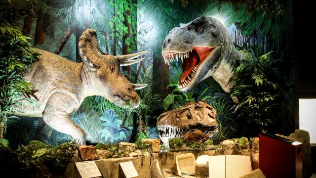 0162-journey-museum-2014-03-22.jpg