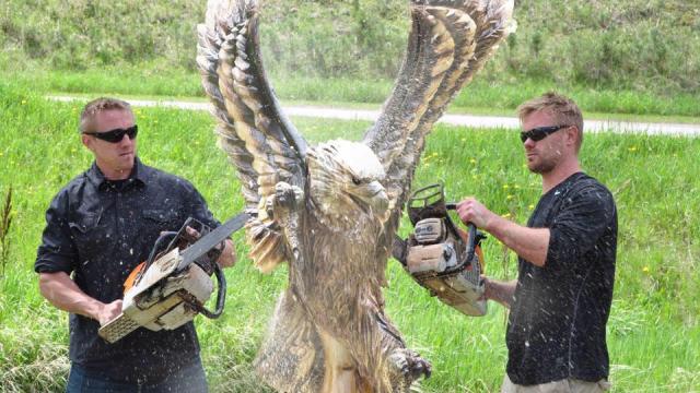 Dahls Chainsaw Art
