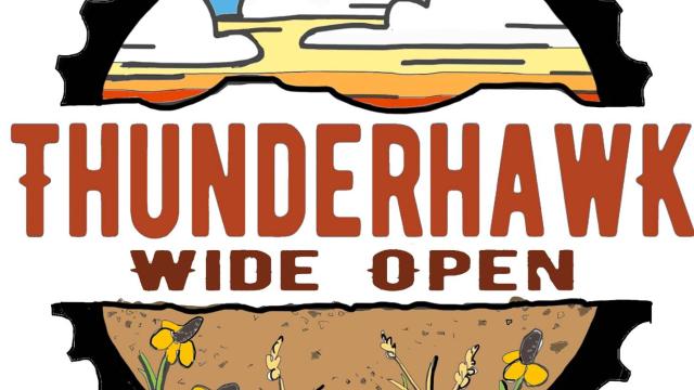 Thunderhawk wide open