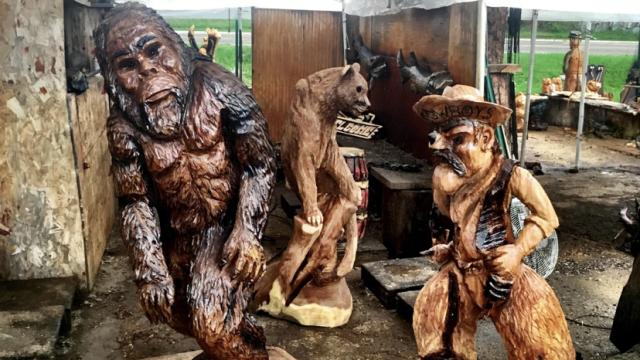 Dahls Chainsaw Art