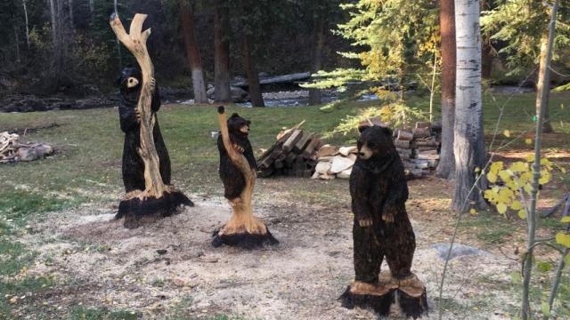 Dahls Chainsaw Art