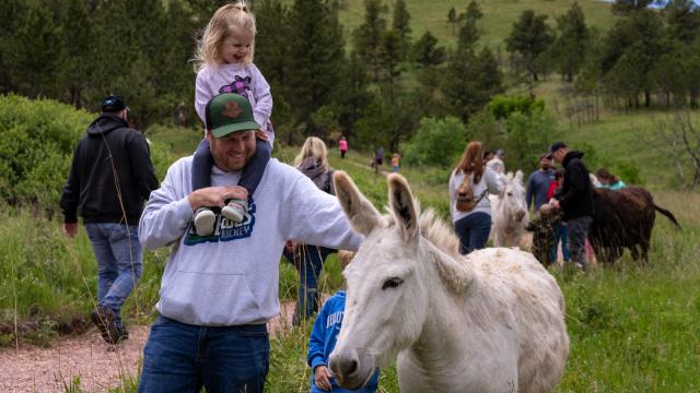 Oh Baby! - New Wildlife Emerges in the Black Hills & Badlands