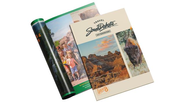 SDVG Sample