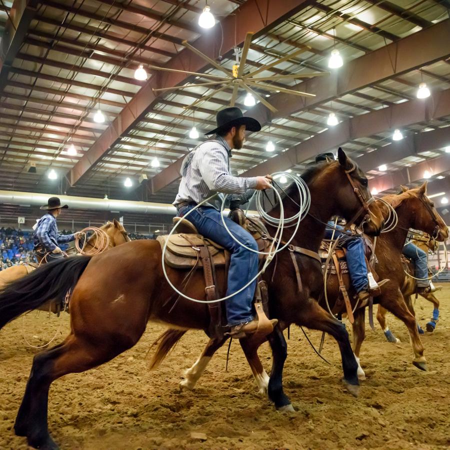 Black Hills Stock Show