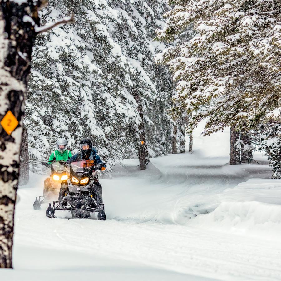 Snowmobiling in Winter