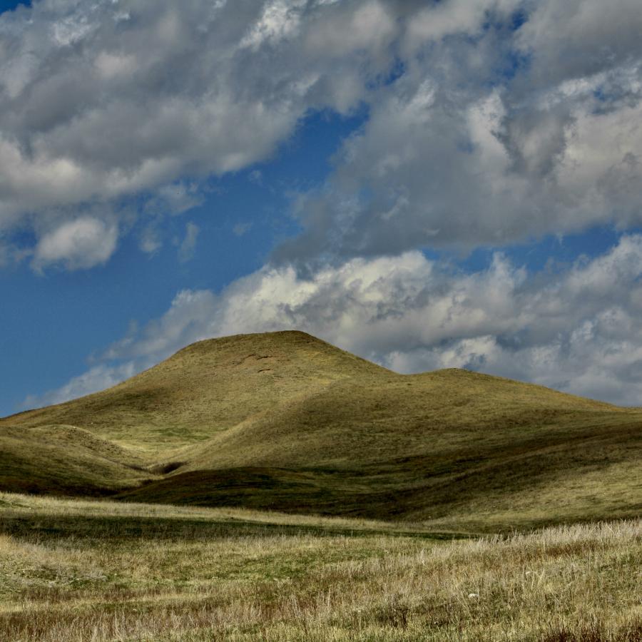 Custer State Park taken on gravel road #3 Oak Draw Road